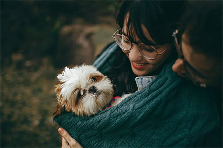 Anesthésie pour animaux : 5 risques à connaître absolument